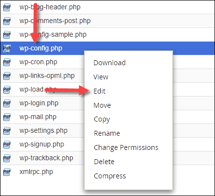 edit wp-config file window