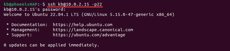 ssh port 22 local terminal output