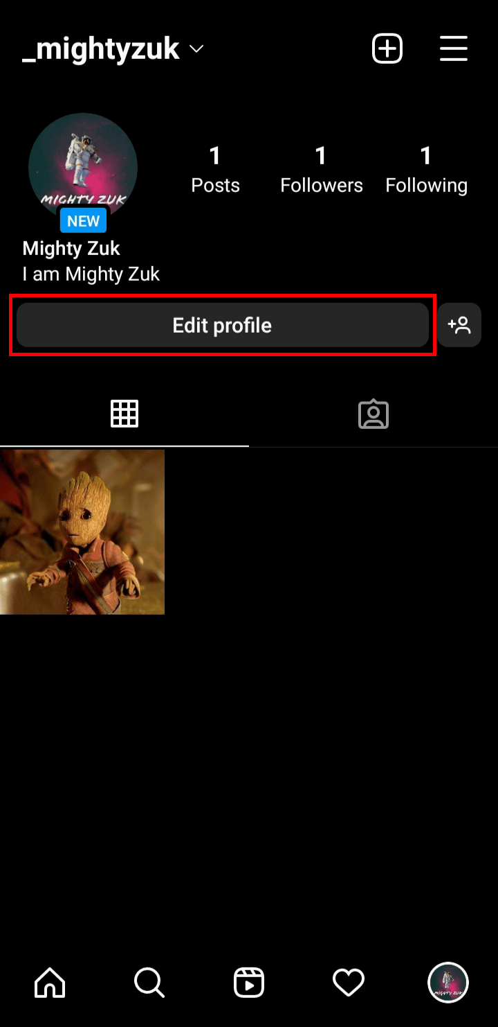 Tap on the Edit profile button.