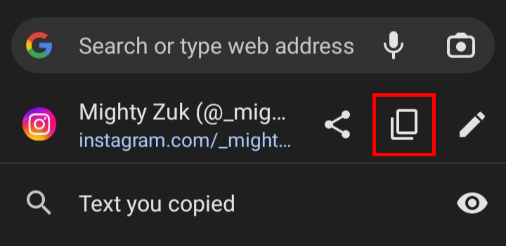 There you will see your profile link tap on the copy icon to copy it. | How to Copy Your Instagram Profile Link from App
