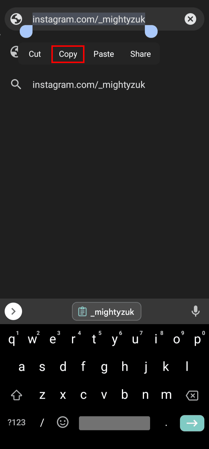 Your link has been created and you select and copy the profile link and can share it with your others. | How to Copy Your Instagram Profile Link from App