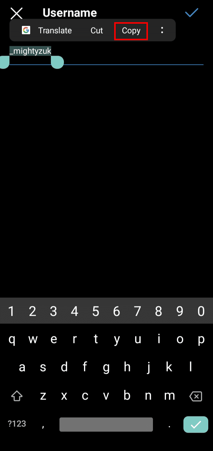 Select the username and tap on the Copy option to copy it.