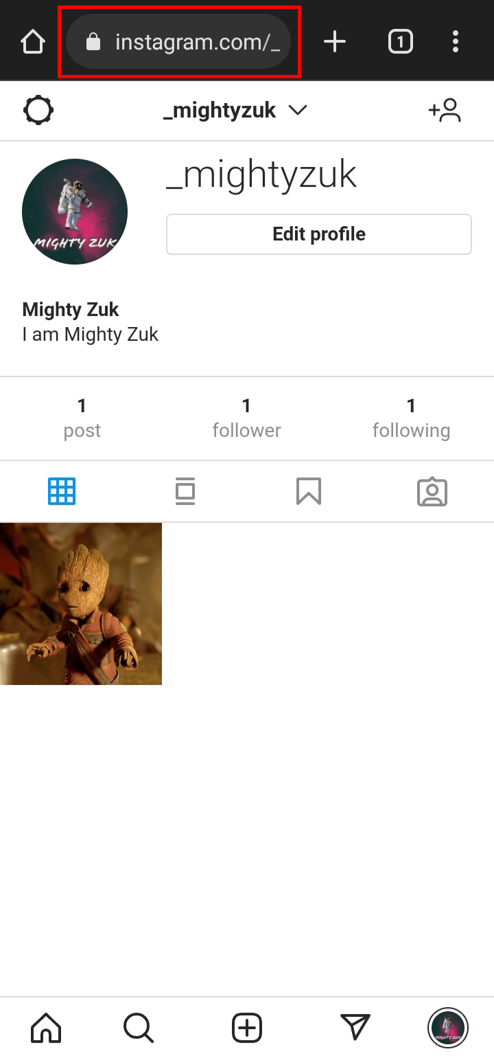 Once you are on the profile page tap on the search bar at the top.