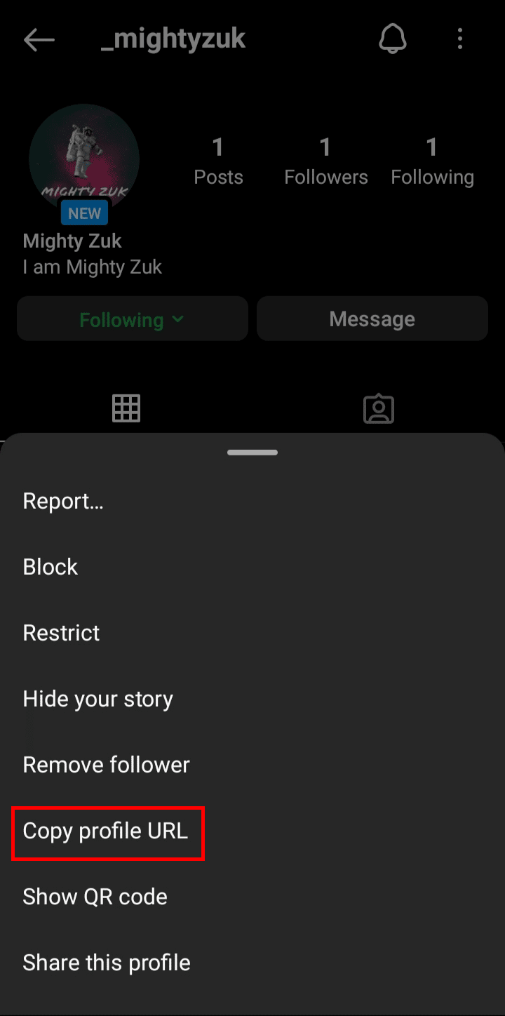 From the popup menu that appeared on the screen tap on the Copy profile URL to copy the profile link.