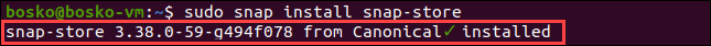 Install Snap store on Ubuntu.