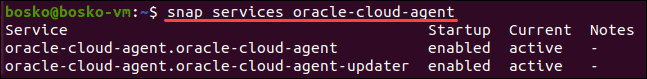 List the services of a single Snap.