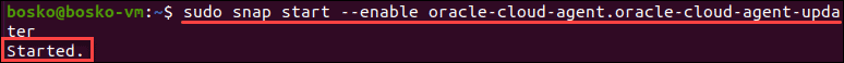 Enable service to start at boot.