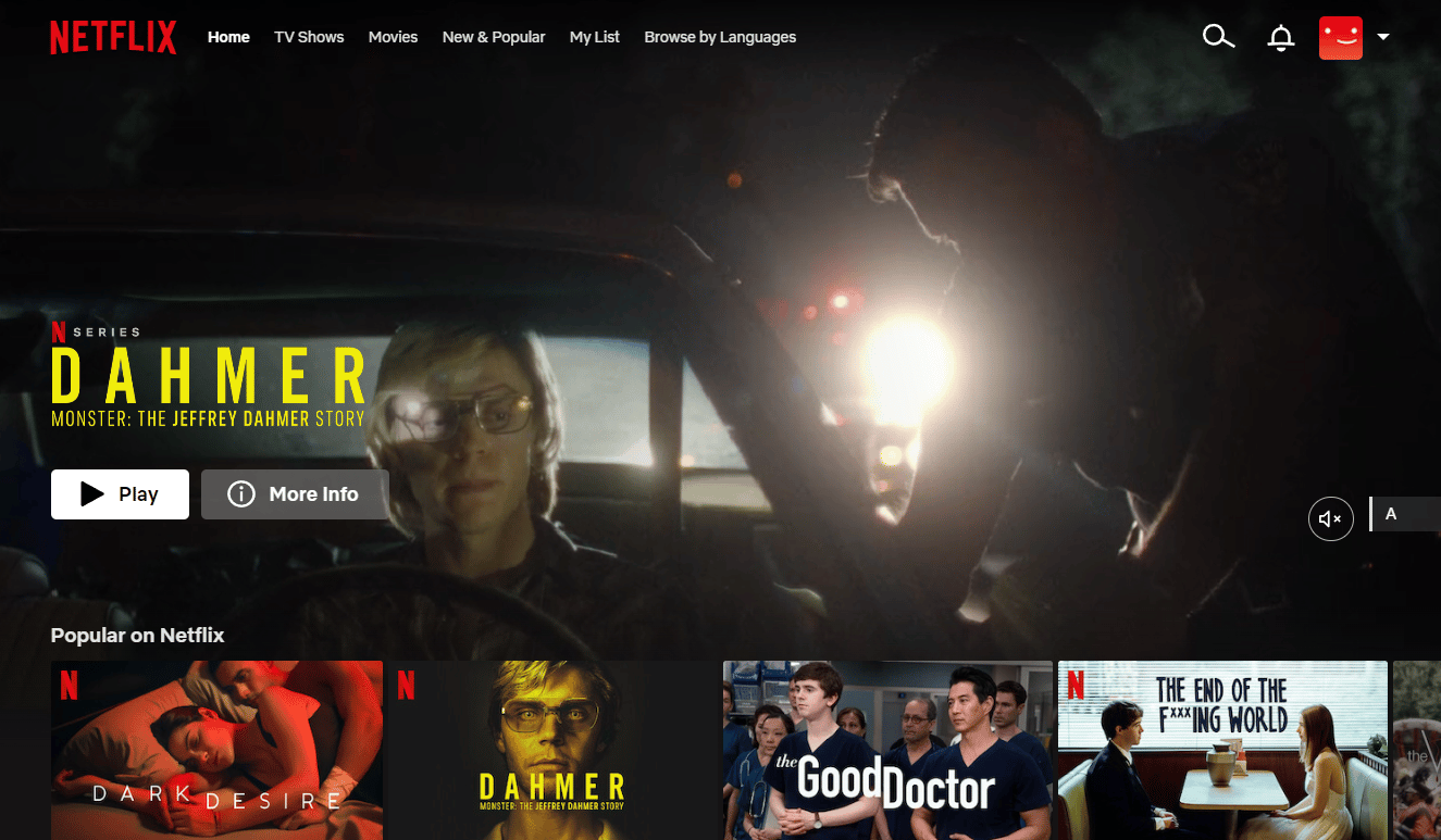 Netflix website homepage
