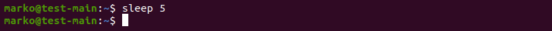 Using the sleep command to introduce a 5-second delay in the terminal