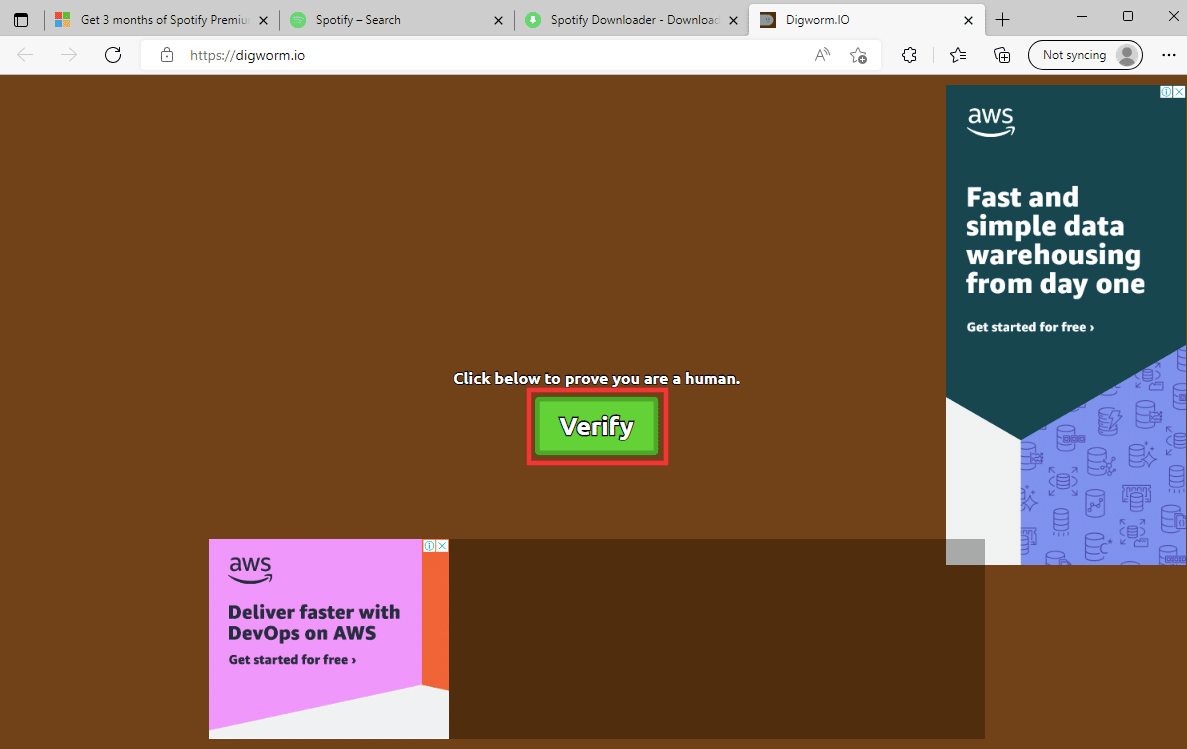 click on Verify
