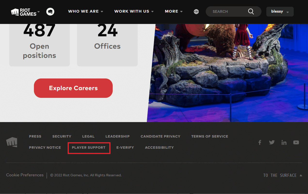 Scroll down to the bottom and click on PLAYER SUPPORT