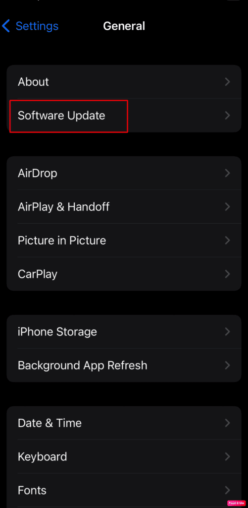 Tap on Software Update 
