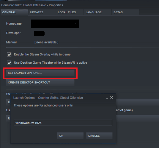 click on SET LAUNCH OPTIONS… 