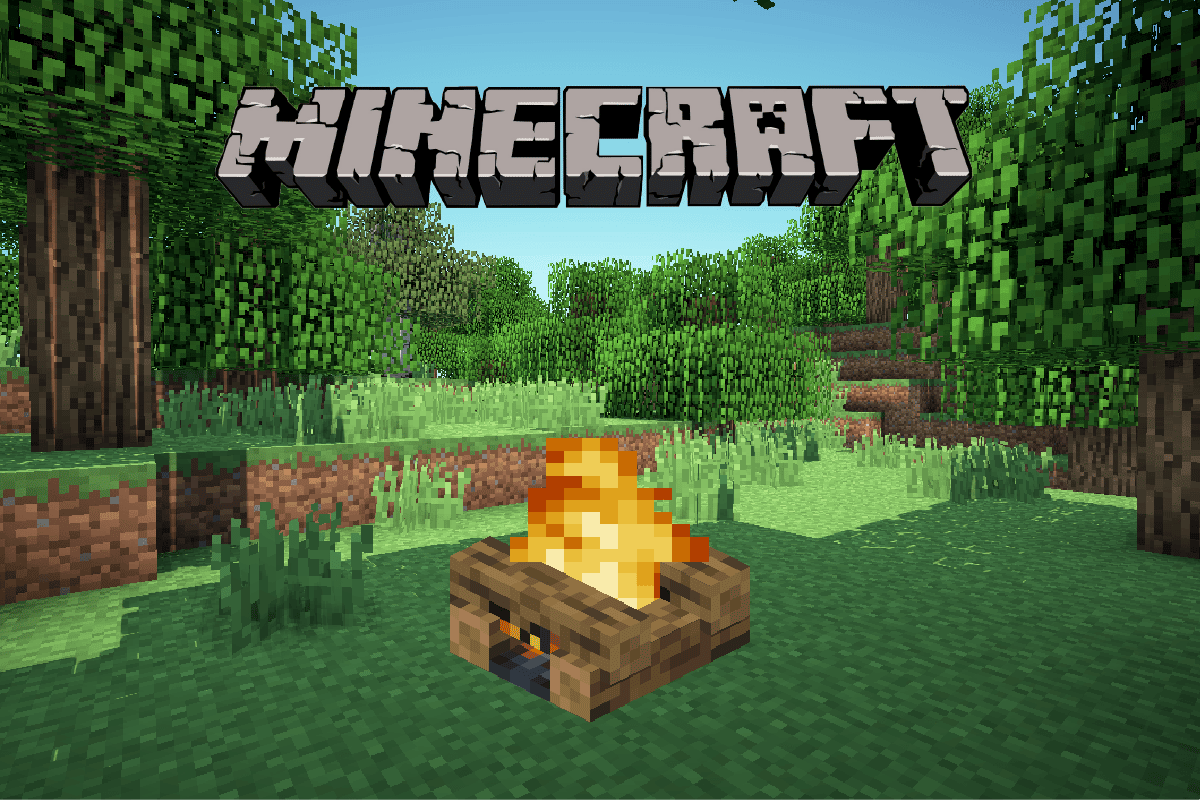 How to Put Out a Campfire in Minecraft