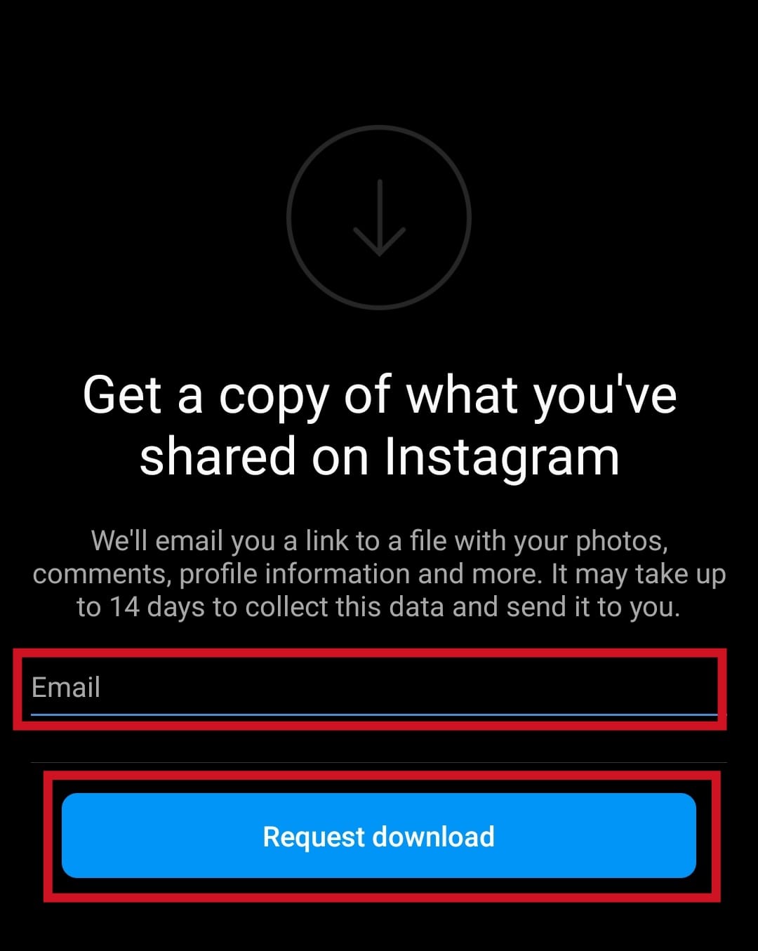 Enter the Email address to which you want your Instagram data to be shared, and Tap on the Request download button | How to Find Old Instagram Posts