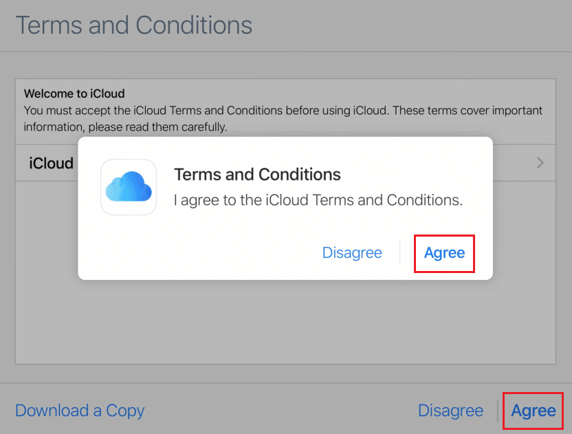 Agree to the Terms and Conditions window and popup