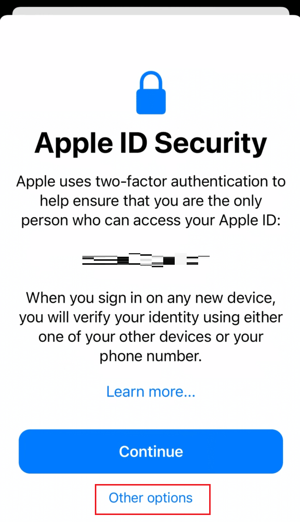 On the Apple ID Security screen, tap on Other options | How to Get into Your iCloud Account