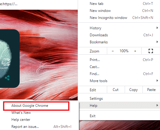 Select About Google Chrome