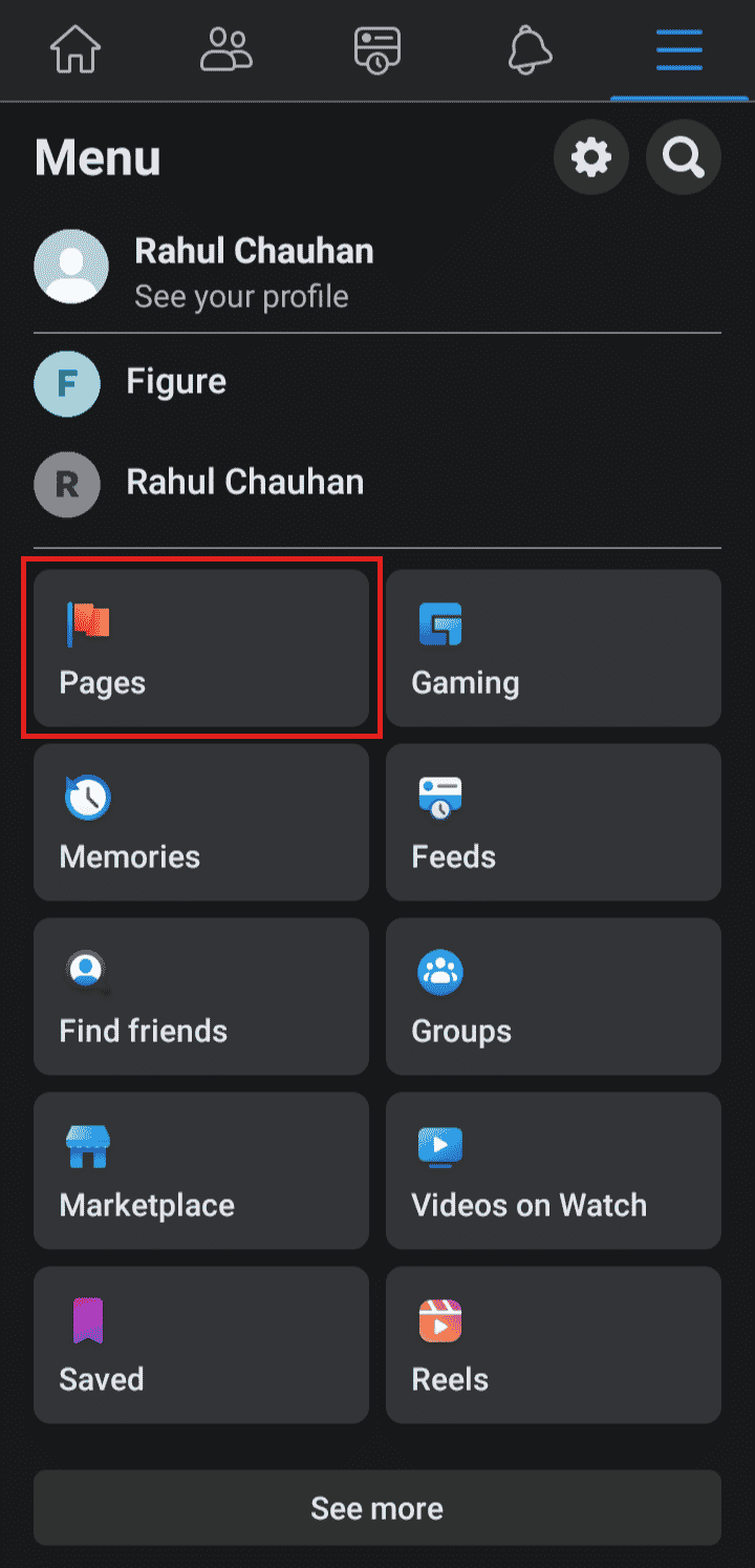 Tap on Pages. | How to Add Another Facebook Account