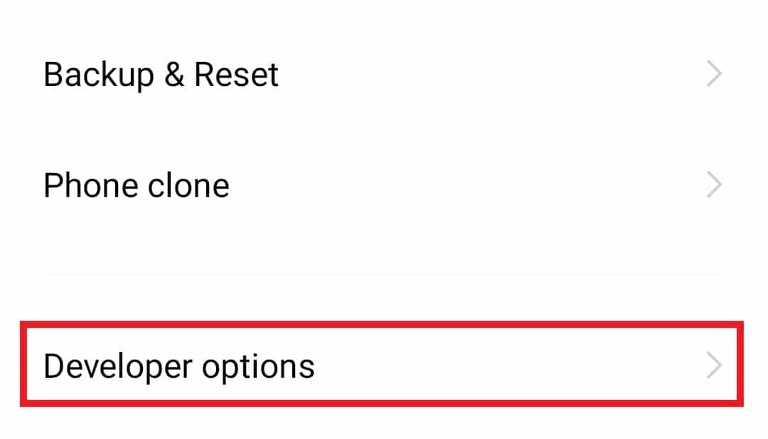 Open Developer options