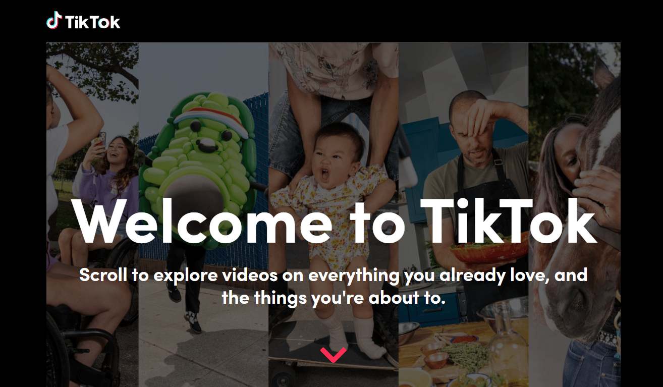 TikTok Browse page