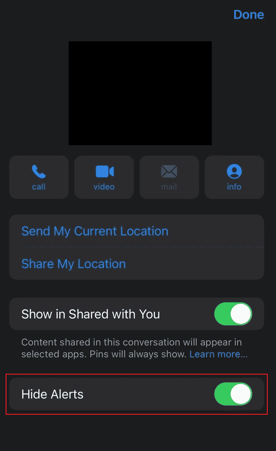 Tap on the Hide Alerts toggle to turn it off | What is Little Moon Next To Text On iPhone?