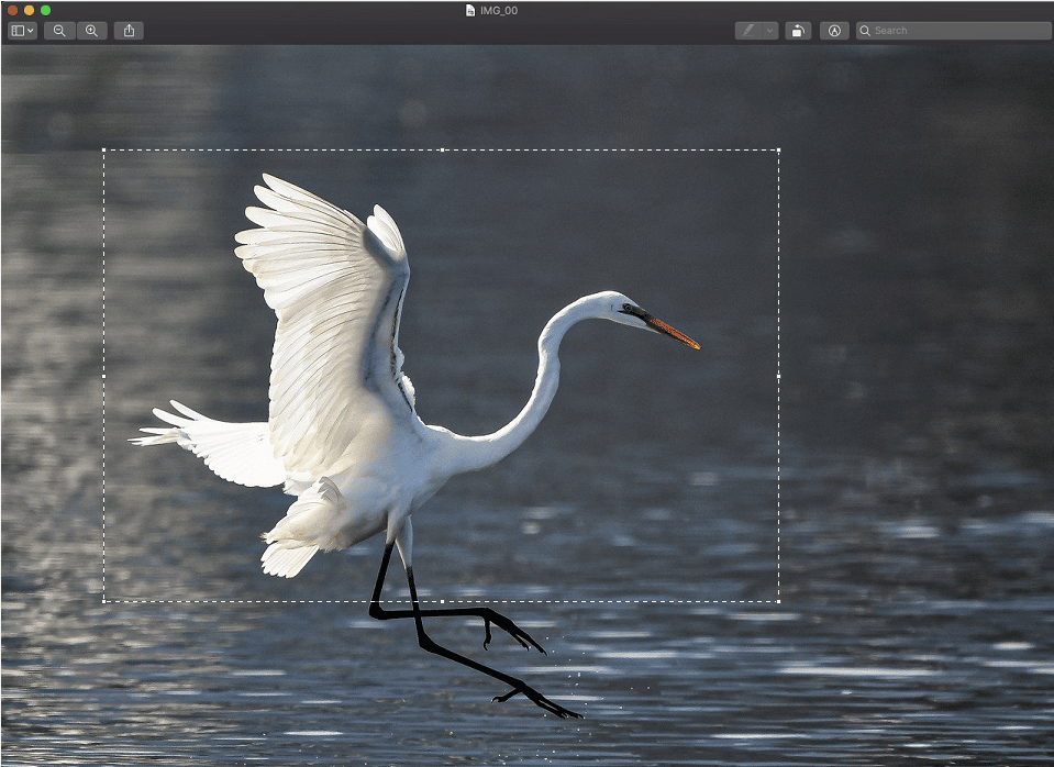 select the desired area to crop the screenshot