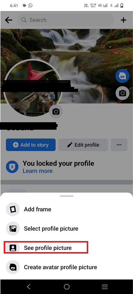 Tap on See profile picture | How to Remove Profile Picture in Facebook Mobile