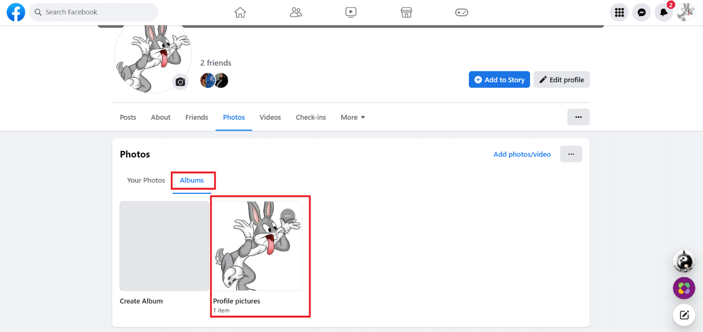 Under the Albums section, click on Profile pictures
