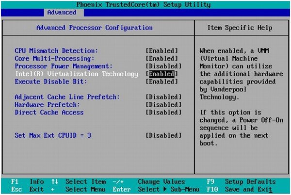 Enable Virtualization in BIOS Menu