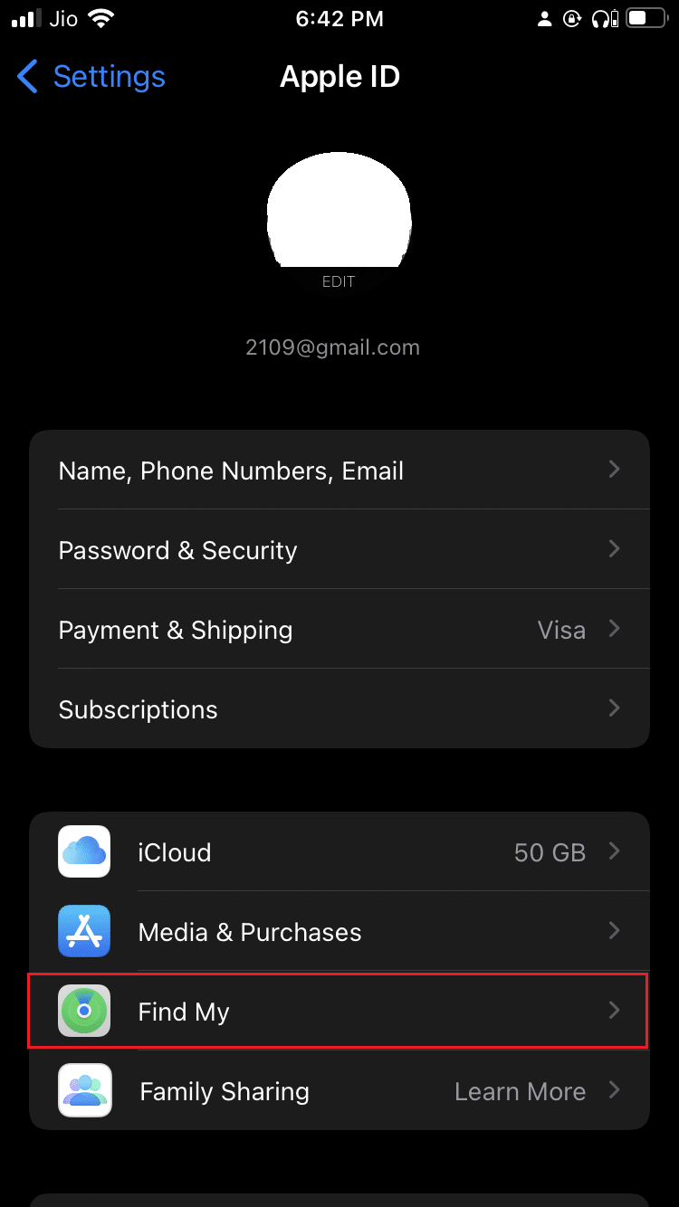 tap on Find My option in the iPhone profile options settings