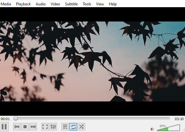 Play the video in loop