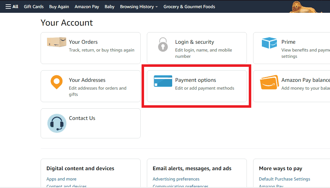 Click on Payment options |