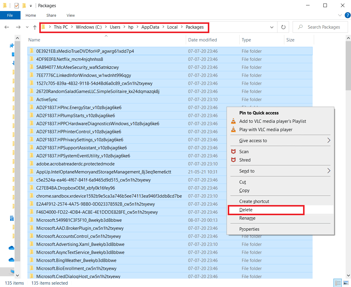 delete all files in the packages folder