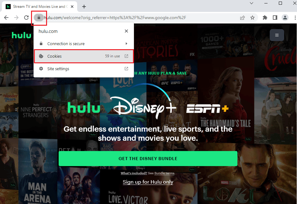 click on the Lock icon at the URL address and select the Cookies option