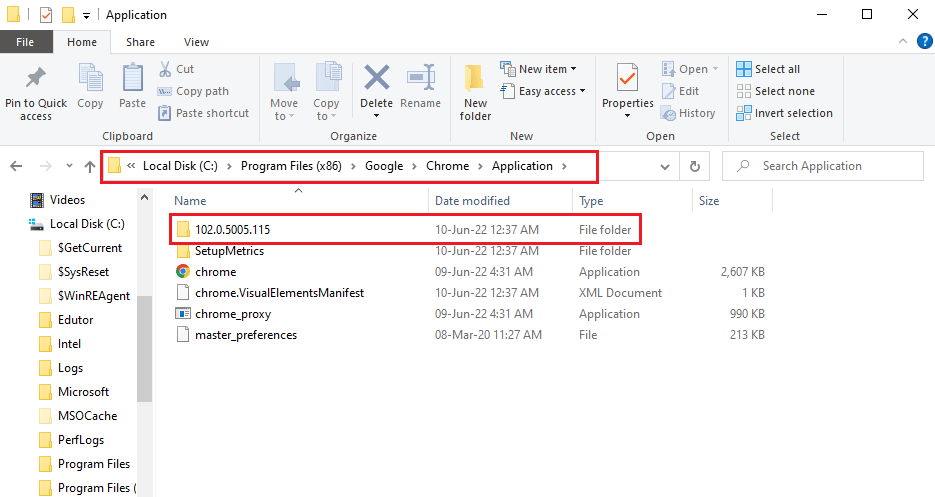 open the 102.0.5005.115 folder 
