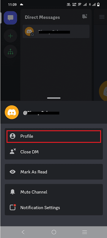 From the ensuing popup menu, tap on the Profile option to view their profile section | How to View Discord Profile