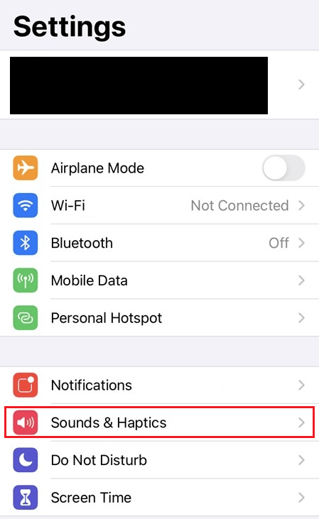 Tap on the Sounds & Haptics option