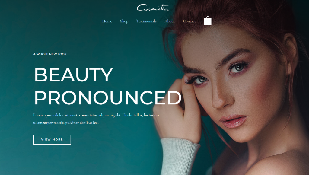 Astra WordPress WooCommerce Theme