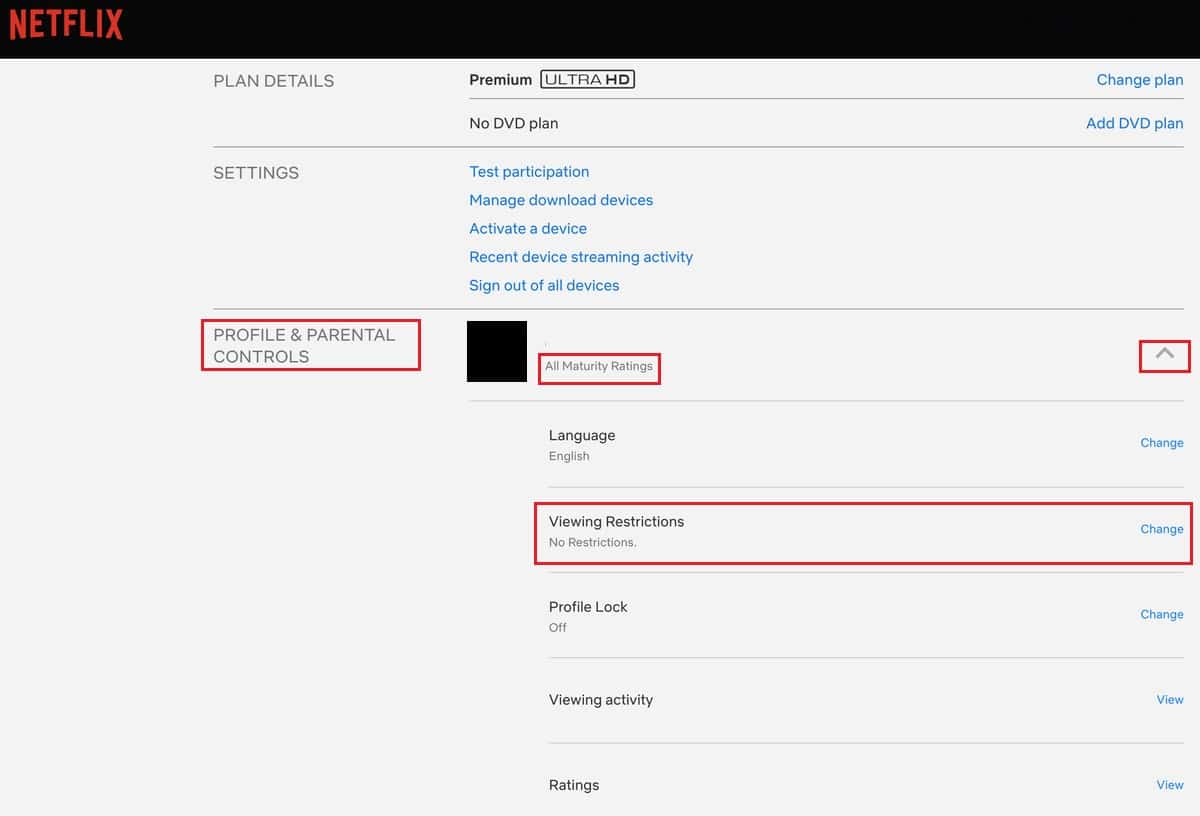 Netlix Account Profile and Parental Controls Viewing Restrictions