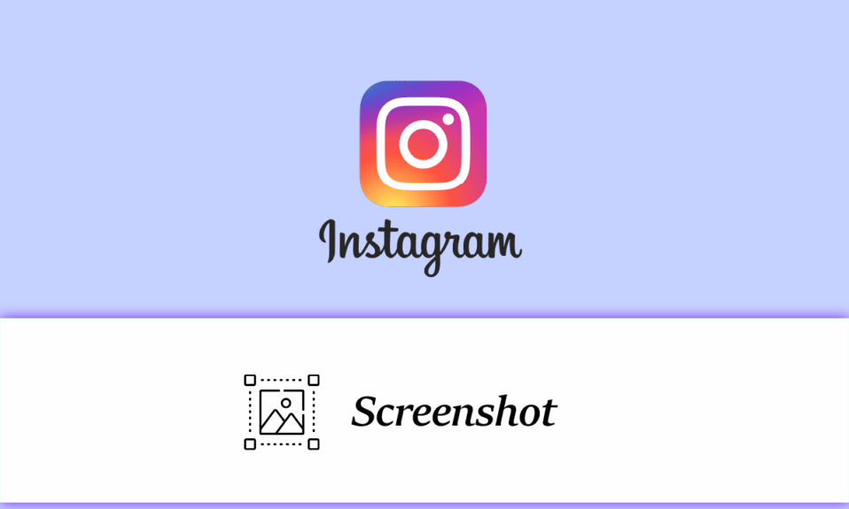 Can You See Who Screenshotted Your Instagram Story or Post?