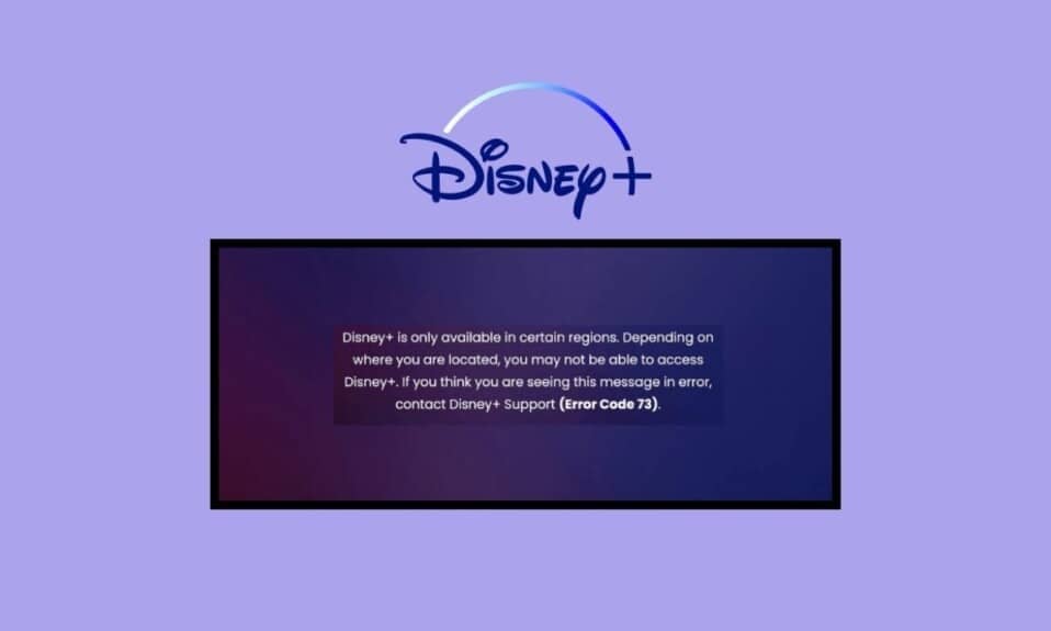 Fix Disney Plus Error Code 73