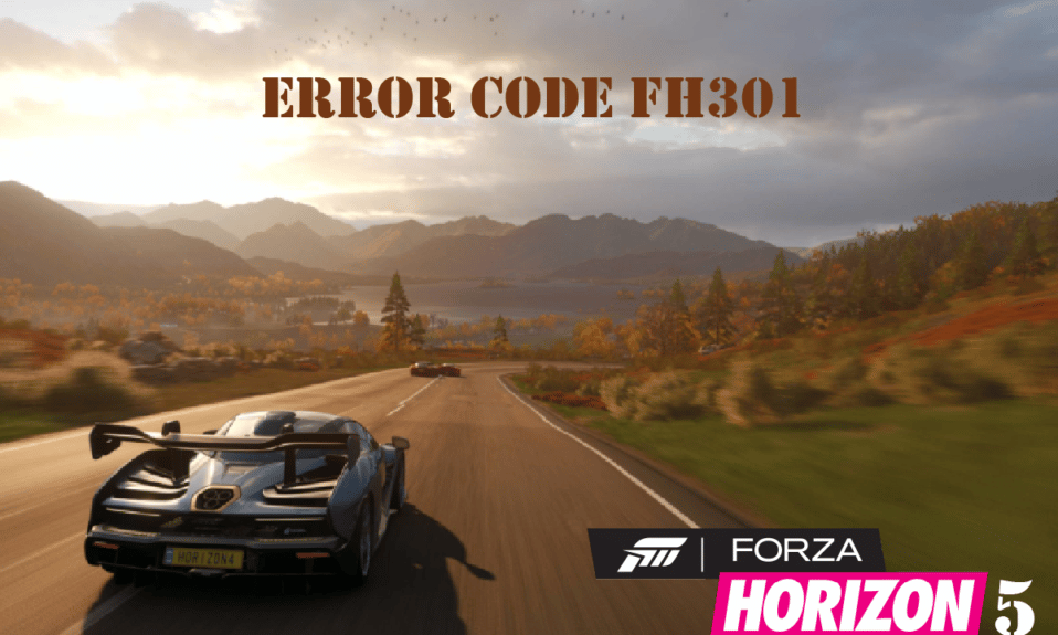 Fix Forza Horizon 5 FH301 Error Code