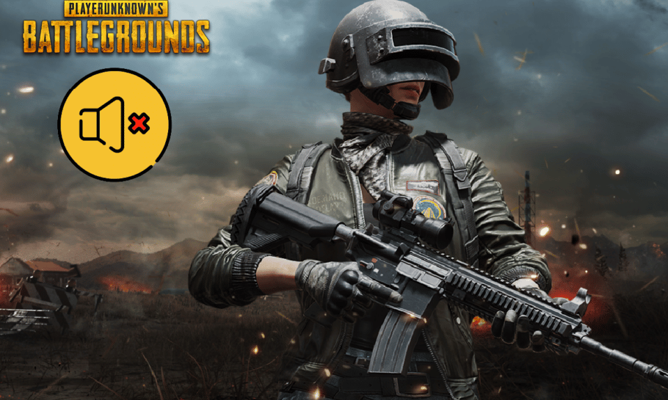 Fix PUBG Sound Issue in Windows 10 PC
