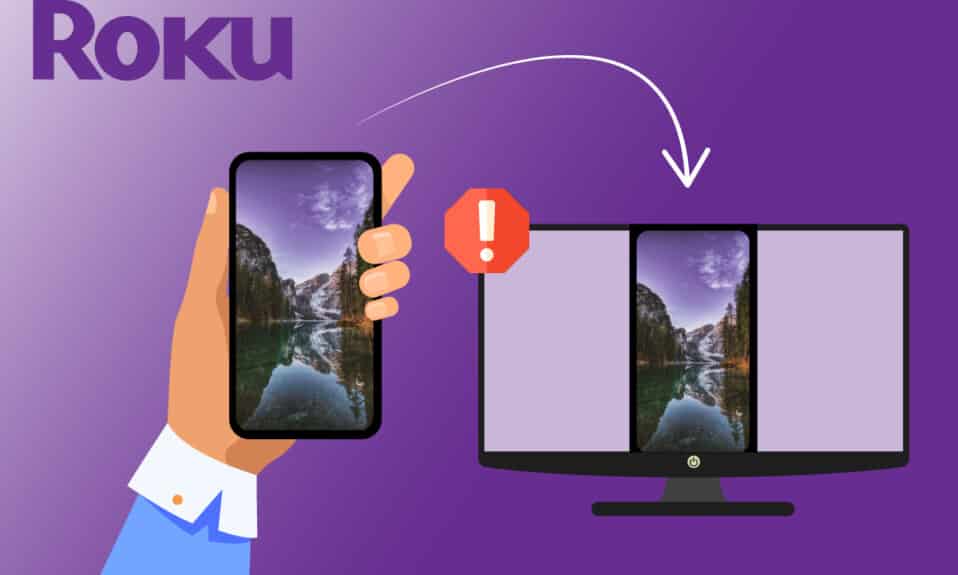 Fix Roku Screen Mirroring Not Working on Windows 10