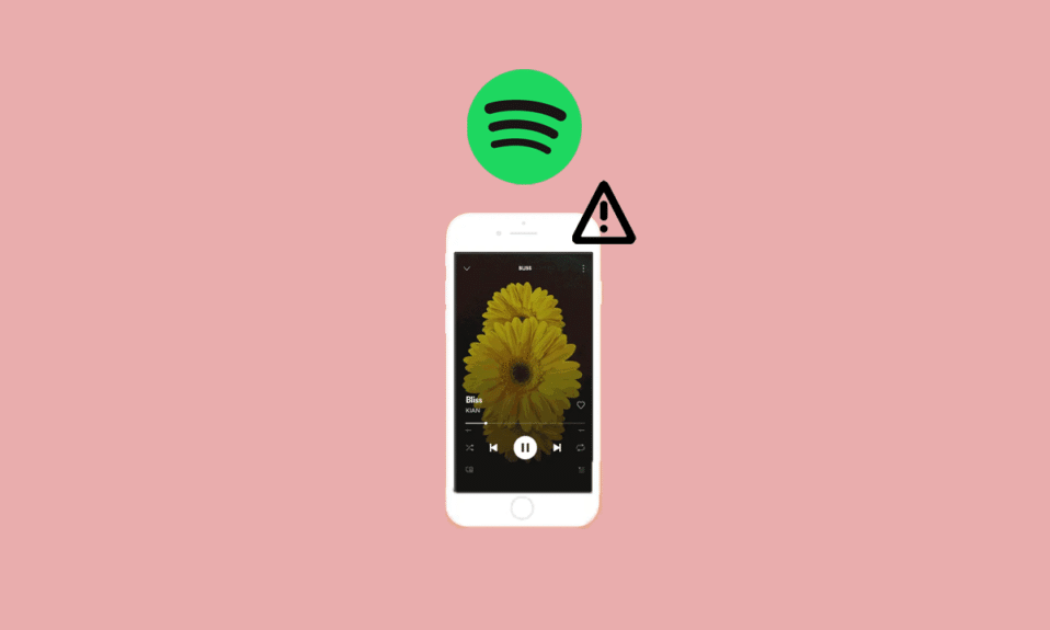 Fix Spotify Canvas Not Showing
