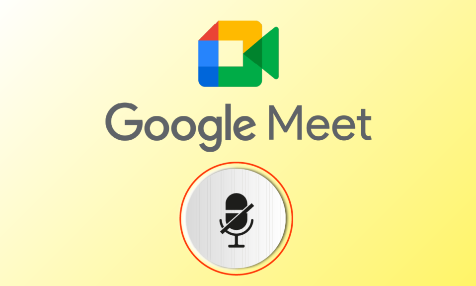 Fix Your Mic is Muted by System Settings in Google Meet