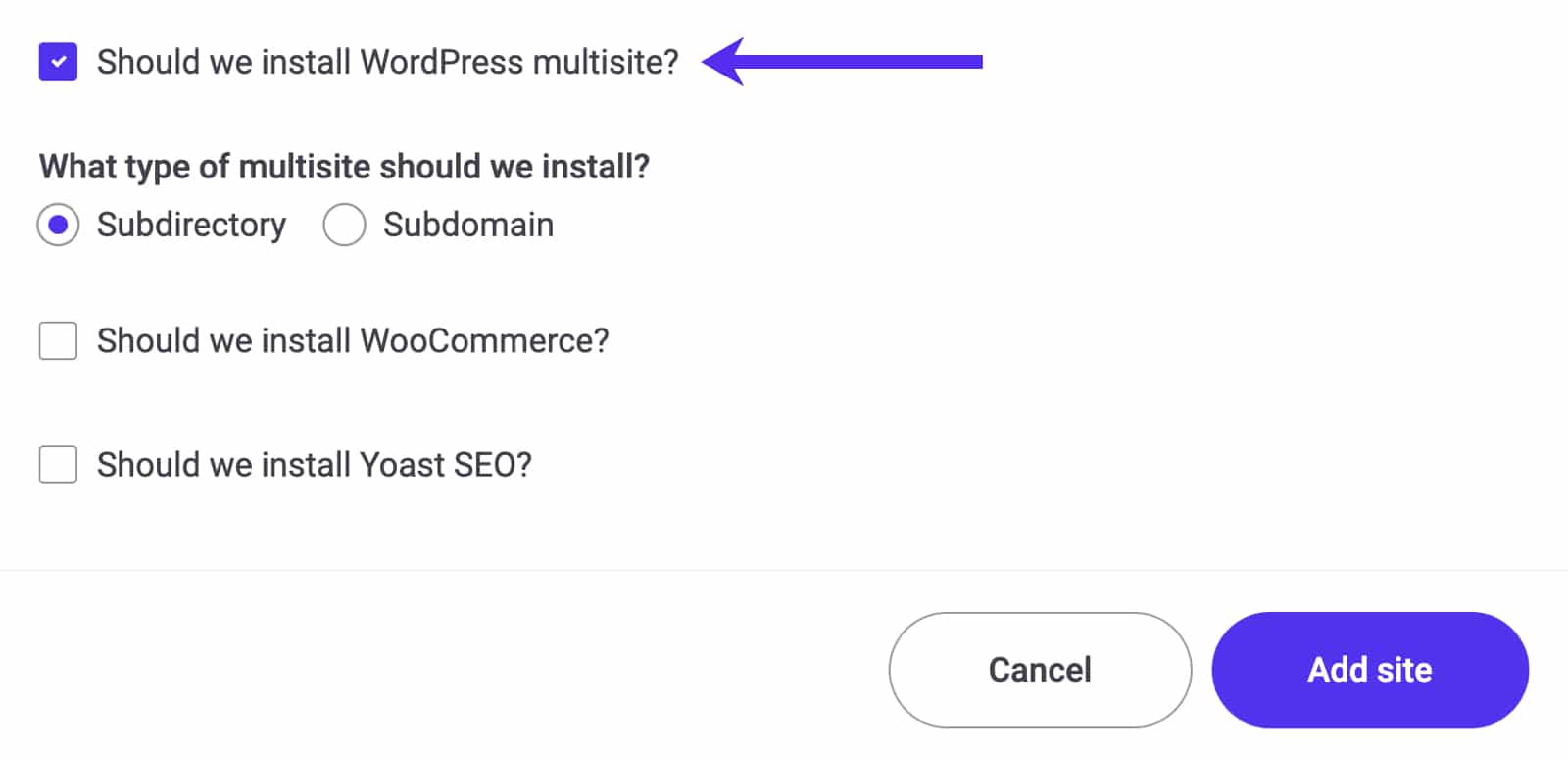 Kinsta’s site creation wizard supports WordPress multisite mode.