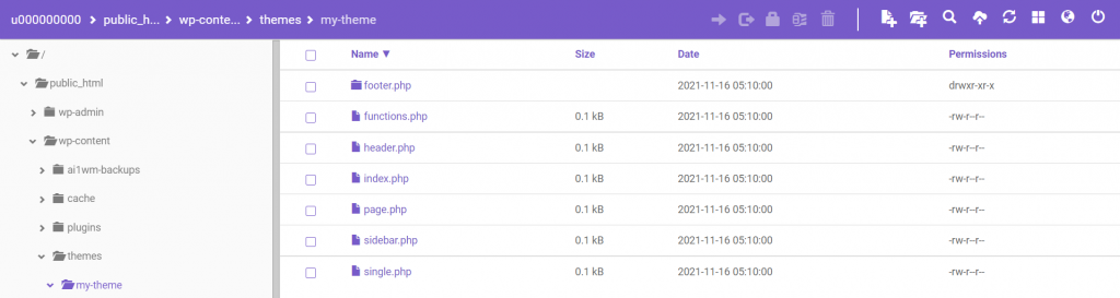 FIle Manager with a new custom theme's default files visible
