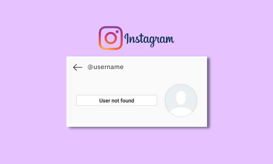 How to Fix User Not Found on Instagram